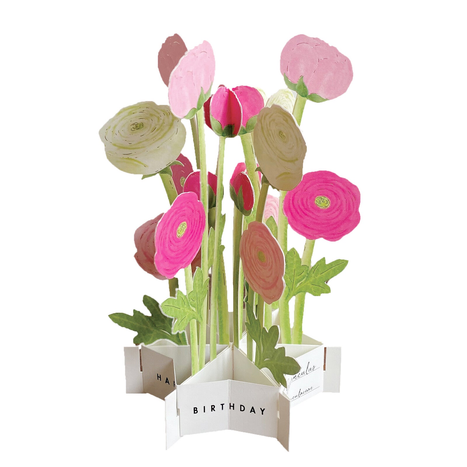 Birthday Blooming Card