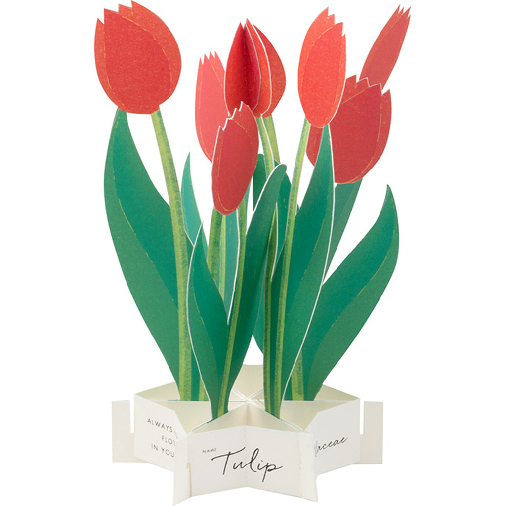[Greeting Life] Blooming Card – Tulips