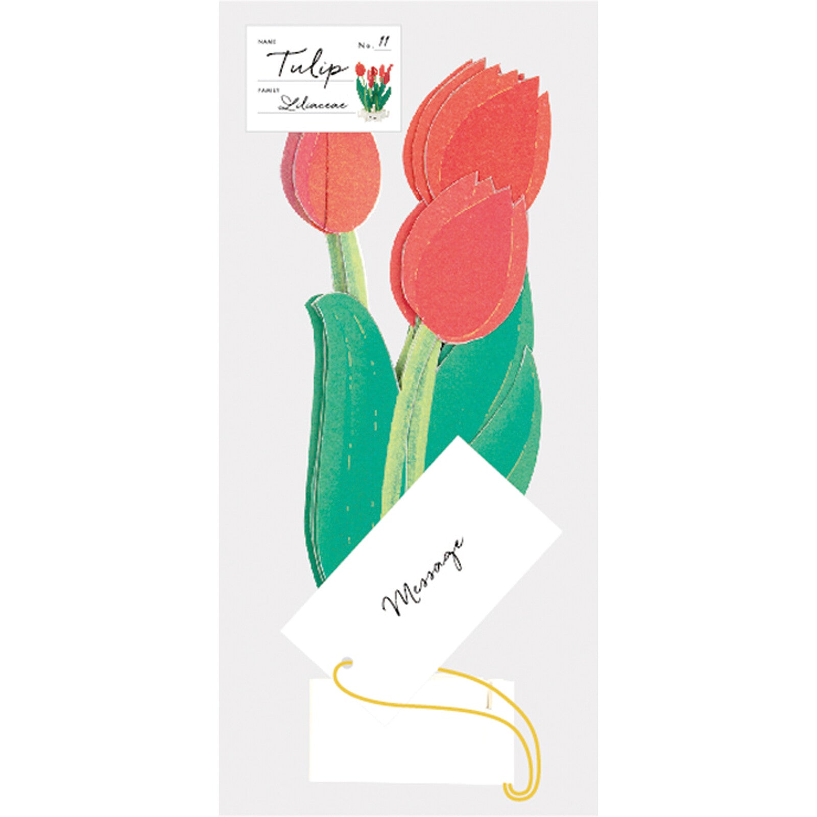 [Greeting Life] Blooming Card – Tulips
