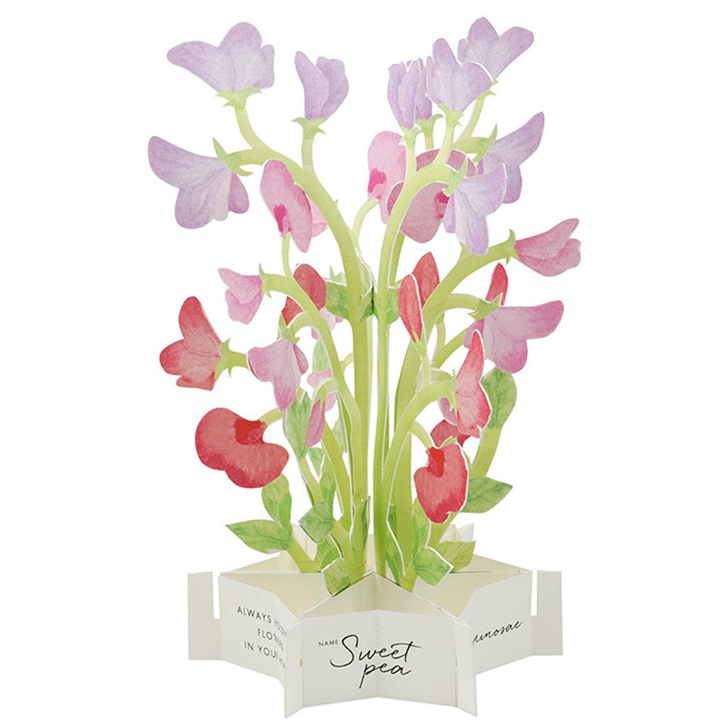 [Greeting Life] Blooming Card – Sweet Pea