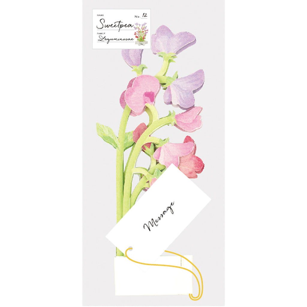 [Greeting Life] Blooming Card – Sweet Pea