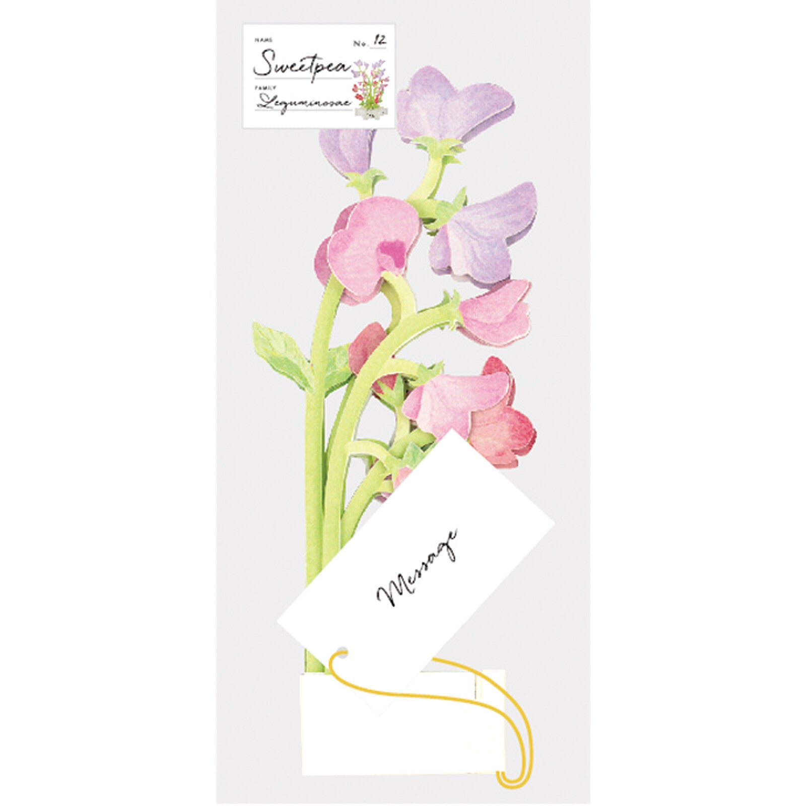 [Greeting Life] Blooming Card – Sweet Pea