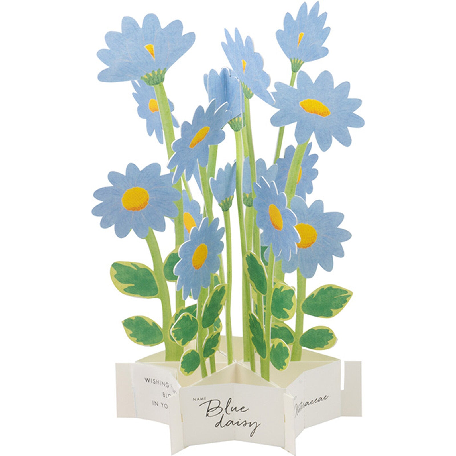 [Greeting Life] Blooming Card – Blue Daisy