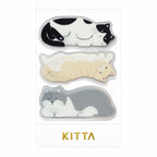 KITTA Clear- Cat