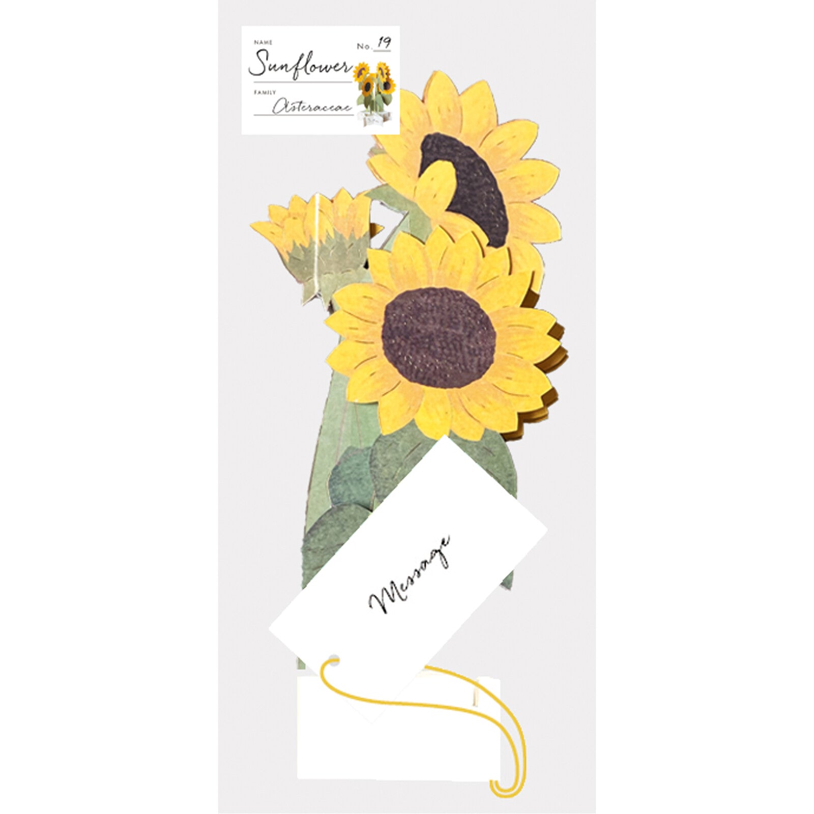 [Greeting Life] Blooming Card – Sunflowers