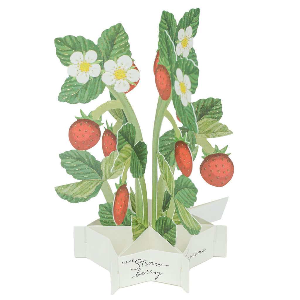 [Greeting Life] Blooming Mini Card – Strawberry