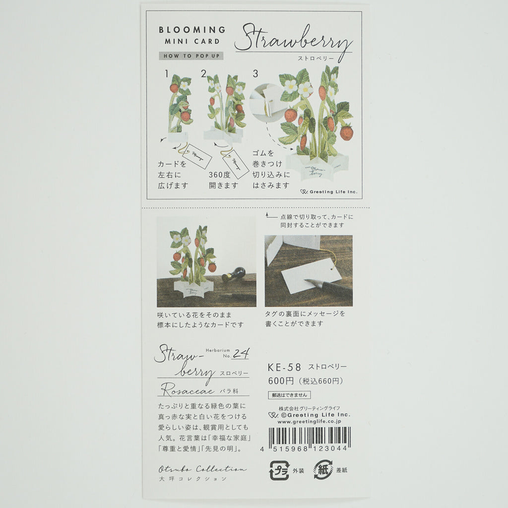 [Greeting Life] Blooming Mini Card – Strawberry