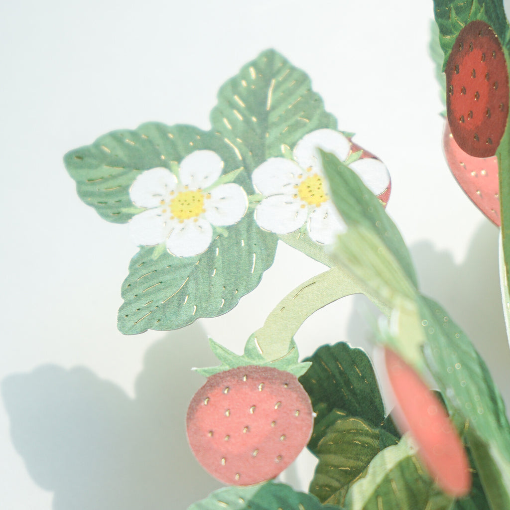 [Greeting Life] Blooming Mini Card – Strawberry