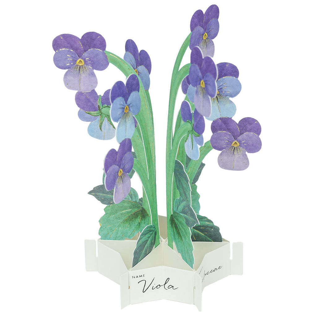 [Greeting Life] Blooming Mini Card – Viola