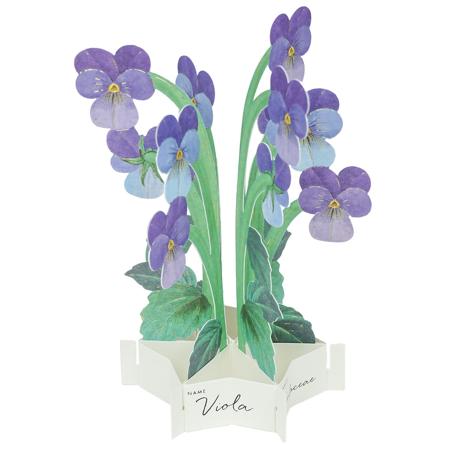 [Greeting Life] Blooming Mini Card – Viola