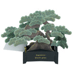 【Greeting Life】3D Pop-Up Bonsai Card - Black Pine