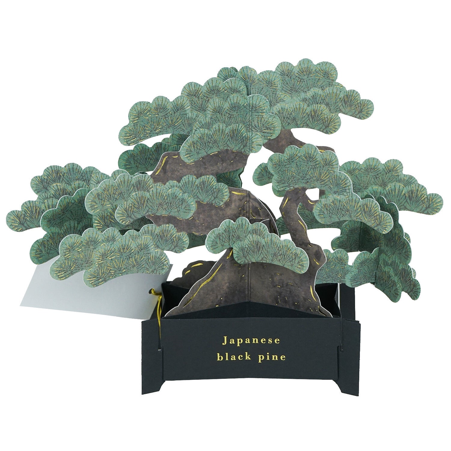 【Greeting Life】3D Pop-Up Bonsai Card - Black Pine