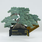 【Greeting Life】3D Pop-Up Bonsai Card - Black Pine