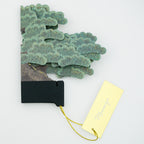 【Greeting Life】3D Pop-Up Bonsai Card - Black Pine