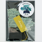 【Greeting Life】3D Pop-Up Bonsai Card - Black Pine