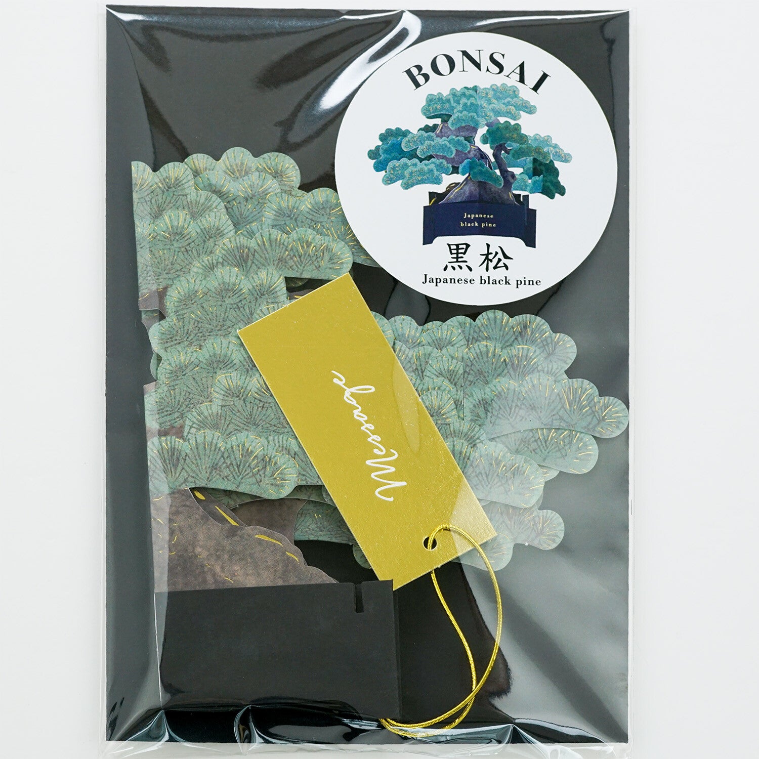 【Greeting Life】3D Pop-Up Bonsai Card - Black Pine