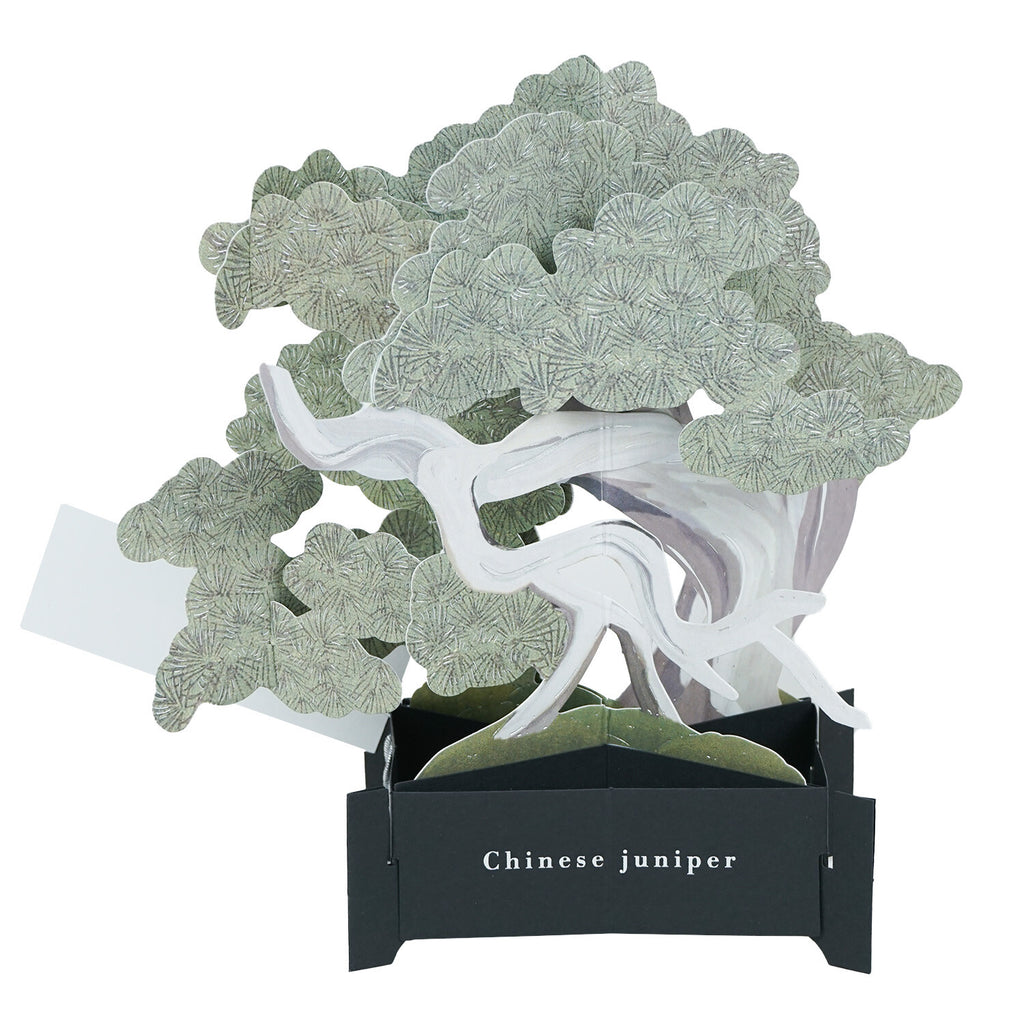 【Greeting Life】3D Pop-Up Bonsai Card - Ma Oak (Makashi)