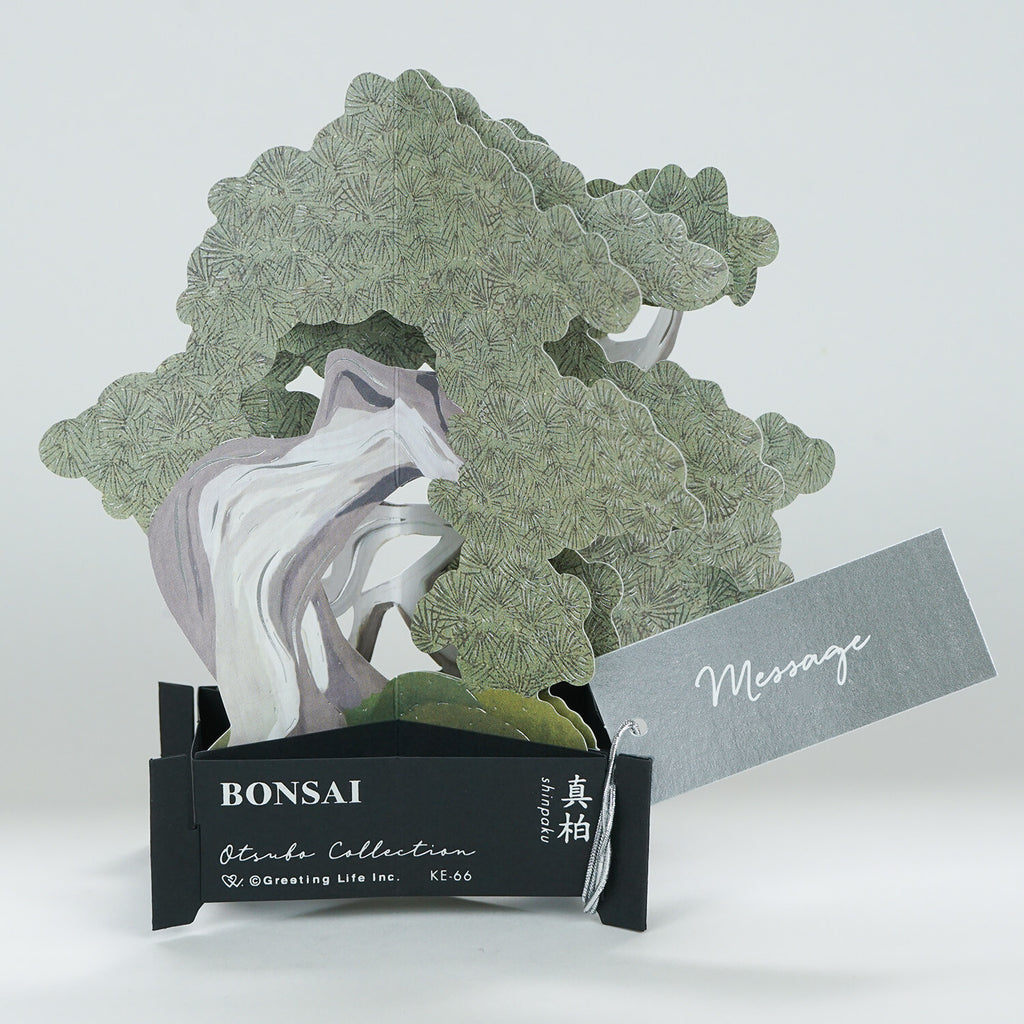 【Greeting Life】3D Pop-Up Bonsai Card - Ma Oak (Makashi)