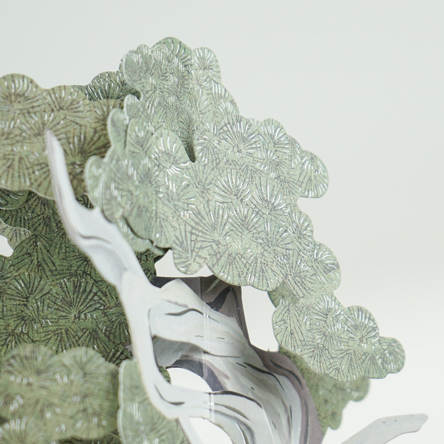 【Greeting Life】3D Pop-Up Bonsai Card - Ma Oak (Makashi)