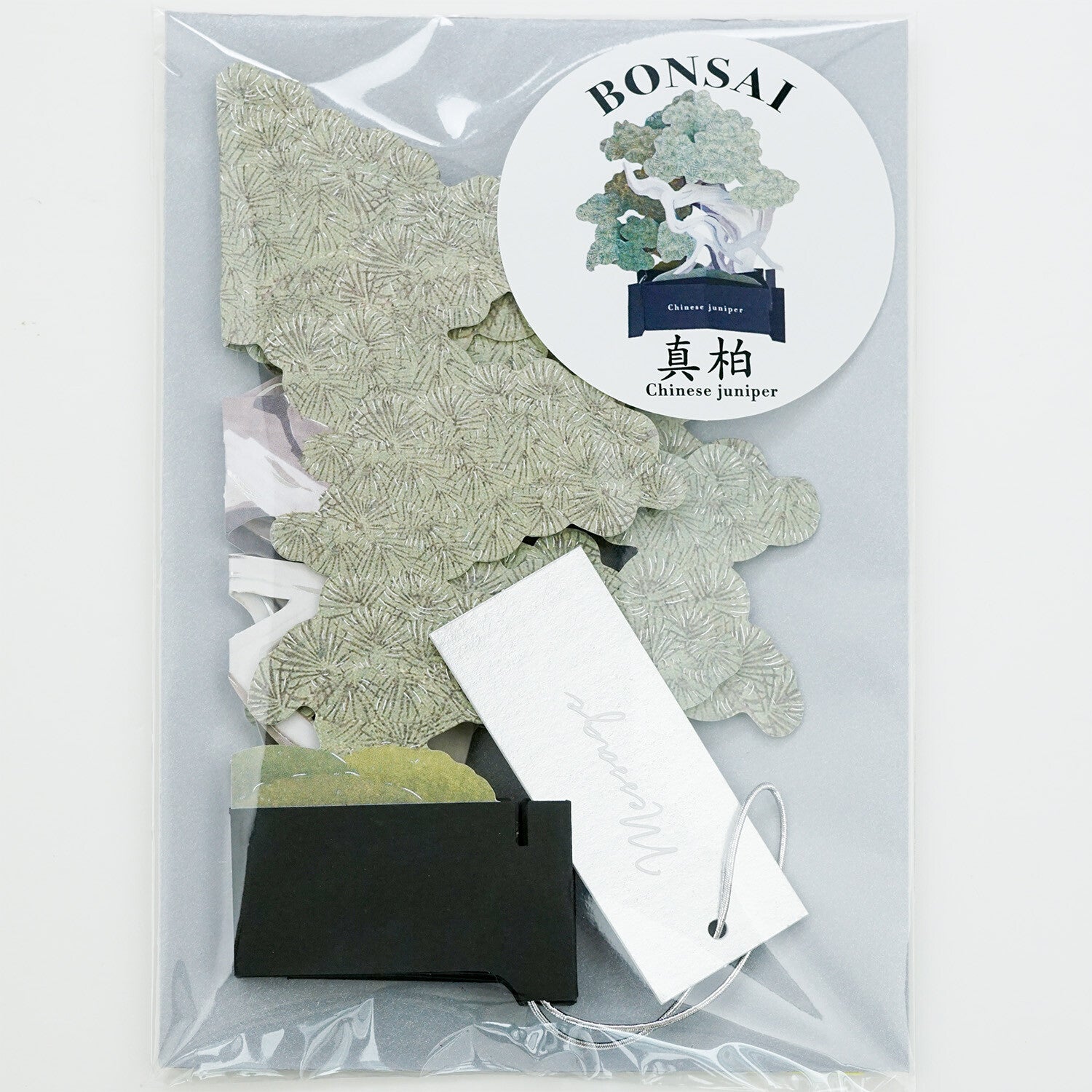 【Greeting Life】3D Pop-Up Bonsai Card - Ma Oak (Makashi)