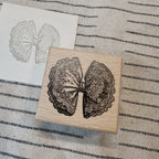 Bunny Craft House- Lace