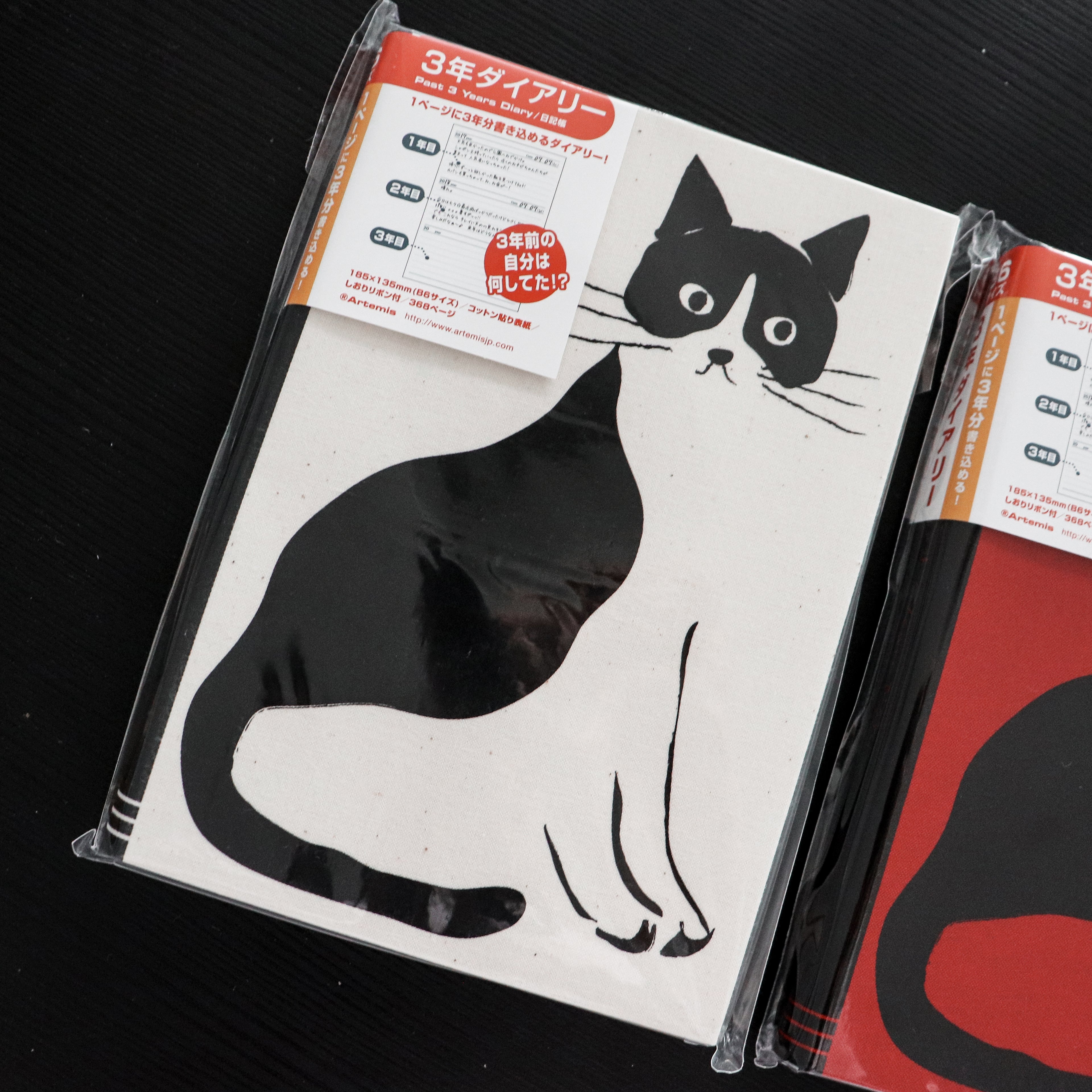 [Artemis] 3-Year Diary – Stylish Cat