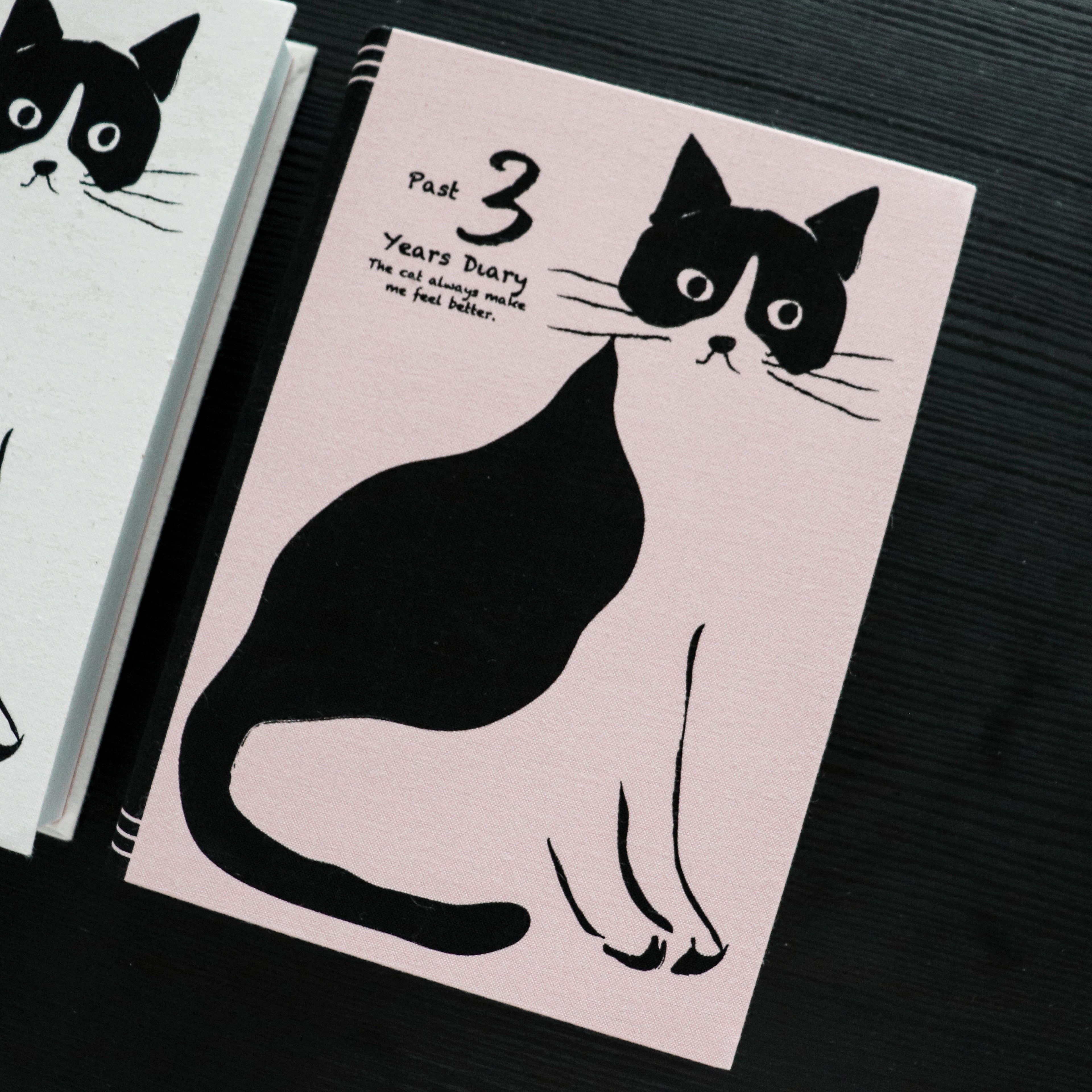 [Artemis] 3-Year Diary – Stylish Cat