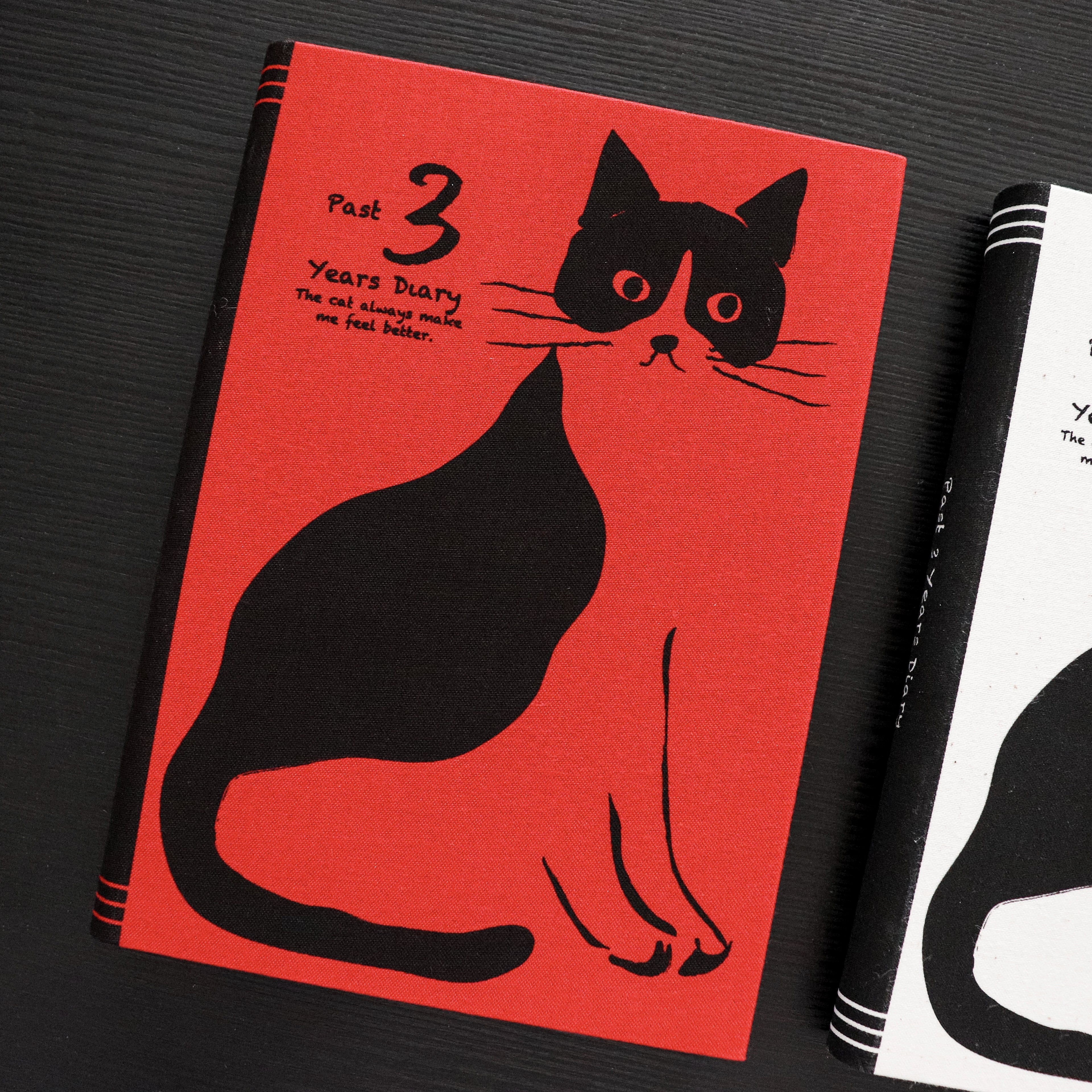 [Artemis] 3-Year Diary – Stylish Cat