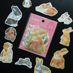 [Mind Wave] Ciao Sticker