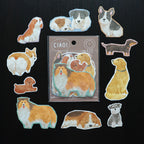 [Mind Wave] Ciao Sticker