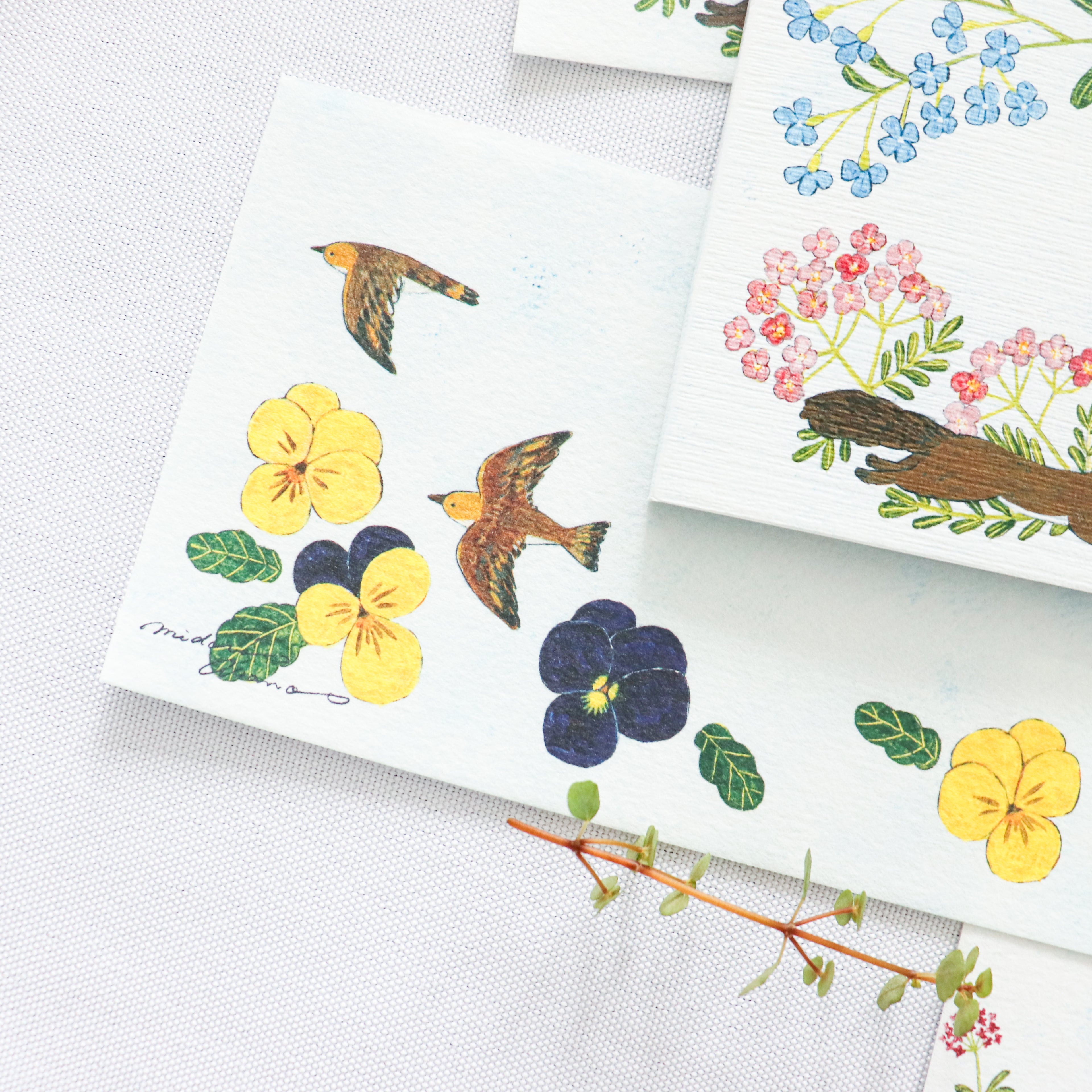 【Cozyca Product】Midori Asano- Slender Letter Pad - With Flowers