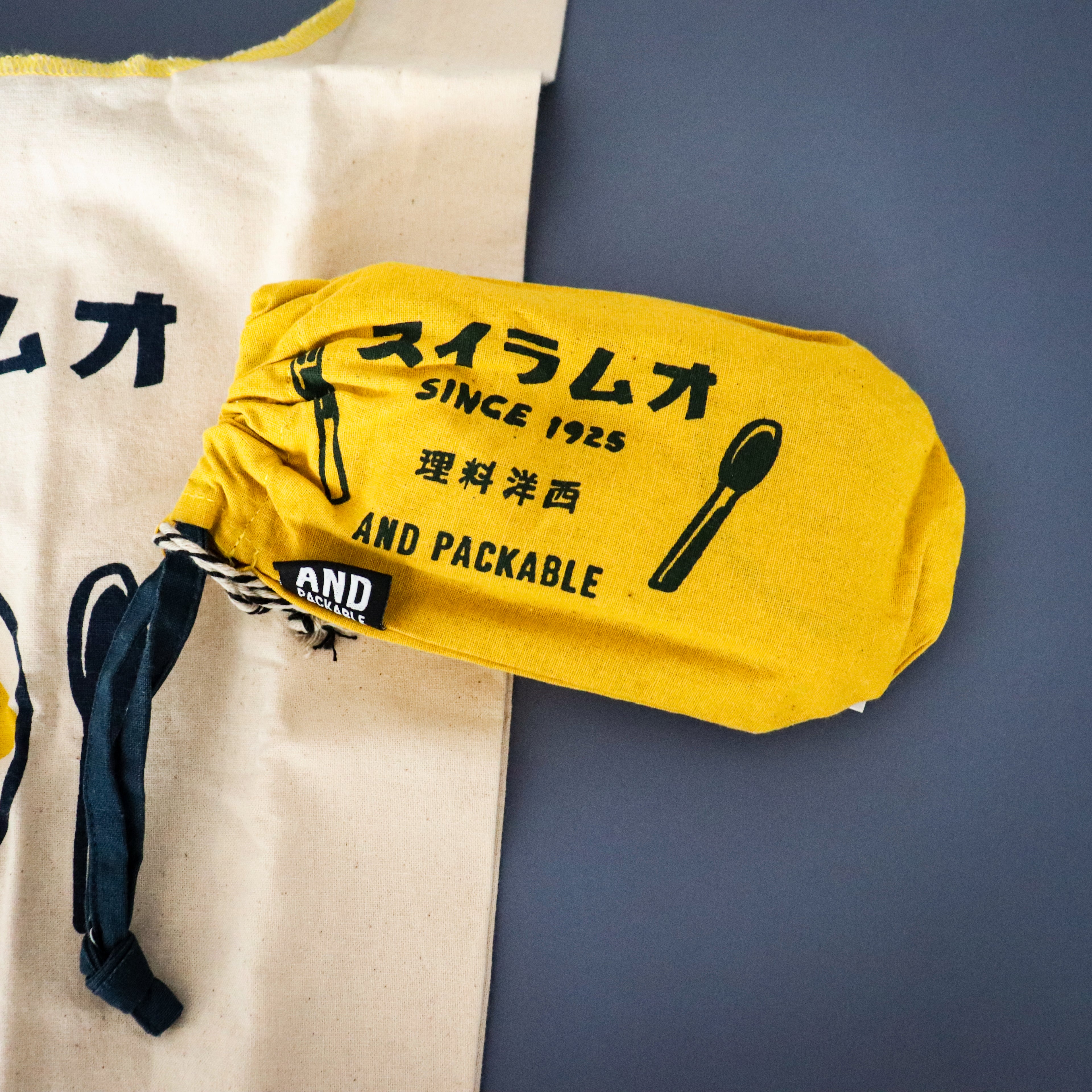 AND PACKABLE- Retro Mini Pleated Tote Bag