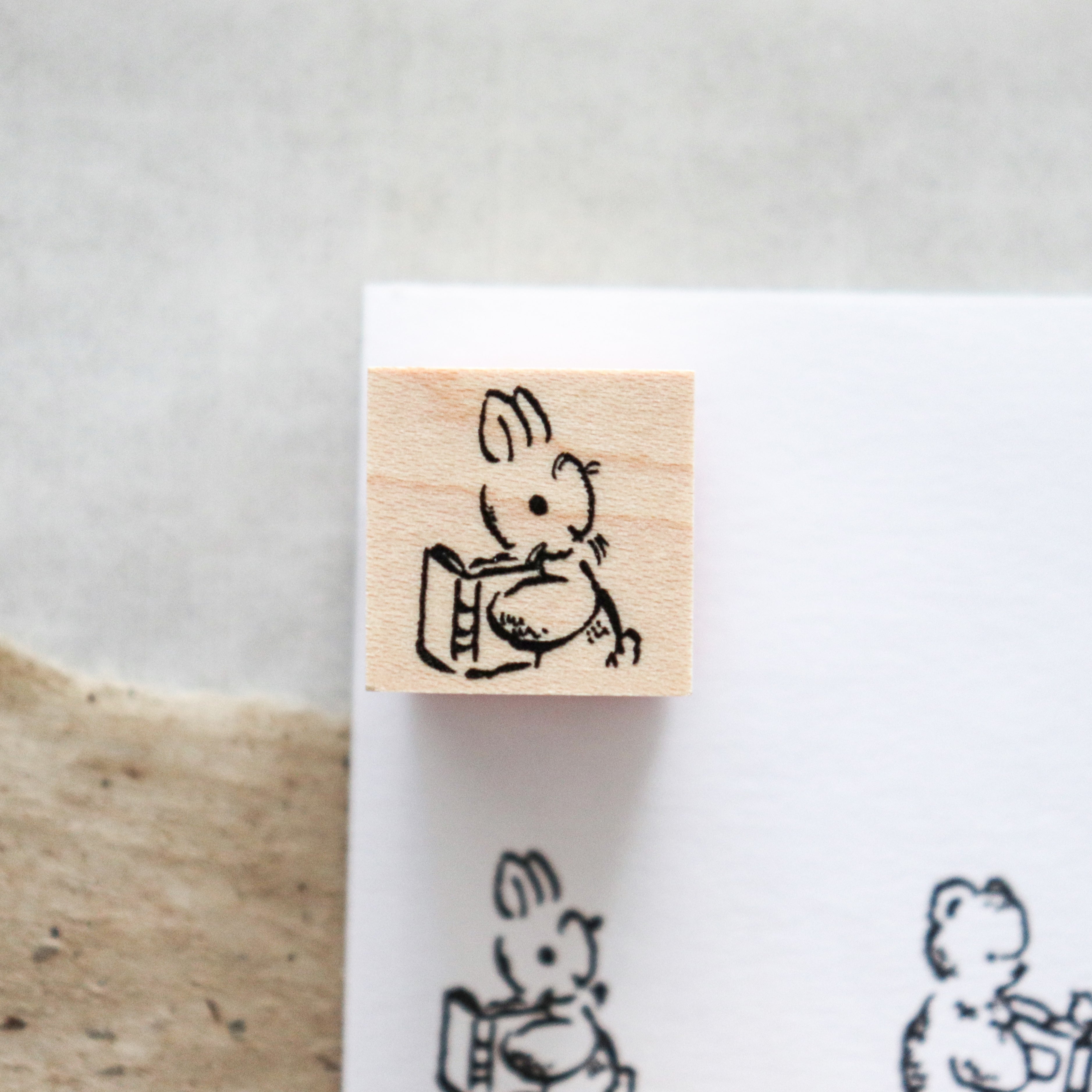 Krimgen -Wood Rubber Stamp - Fluffy Animal Friends with Book Series