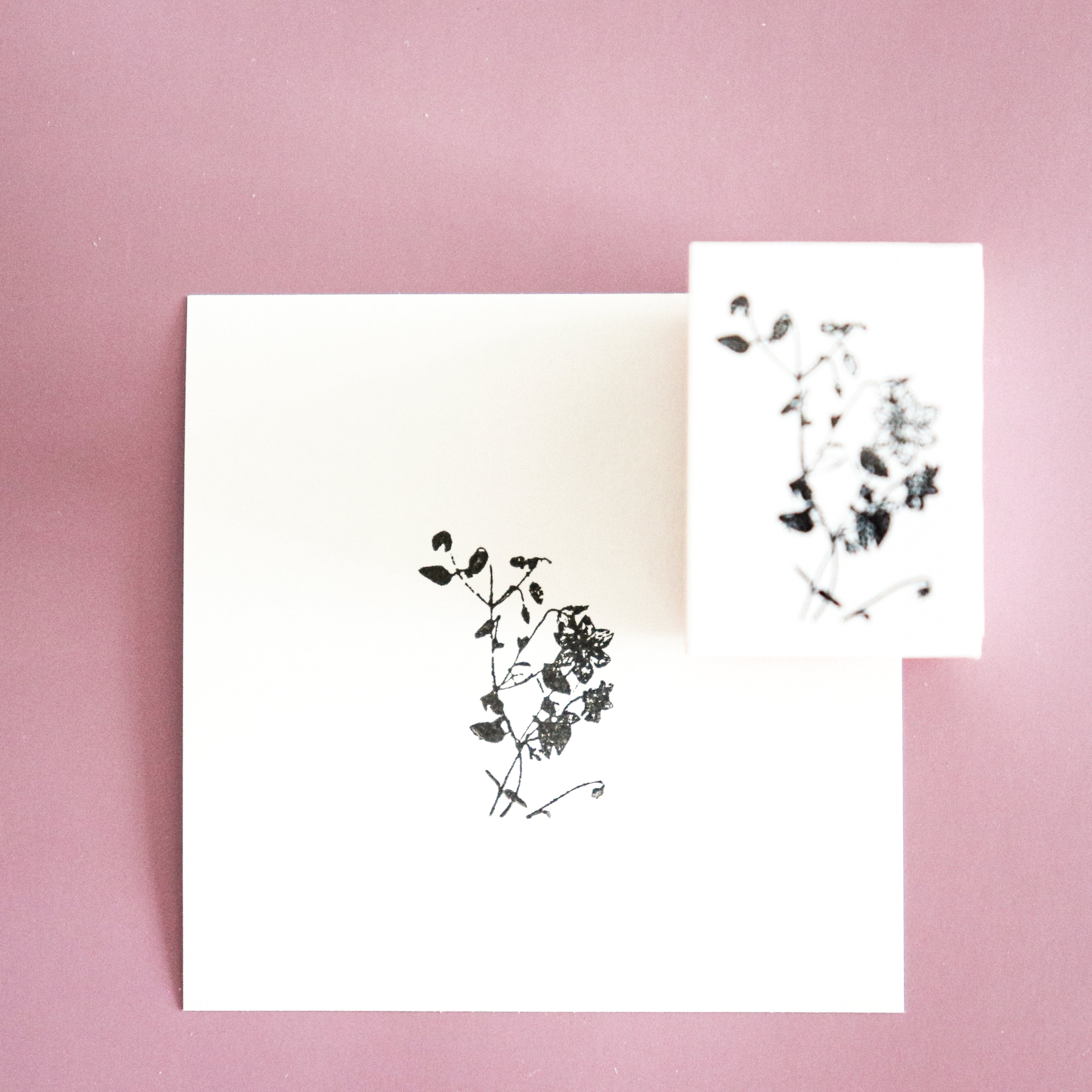 YOHAKU Wooden Rubber Stamp-Clematis