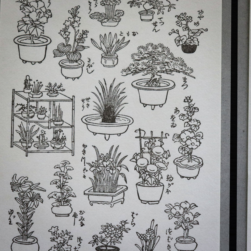 【OEDA LETTERPRESS】Edo Gardening Sticker Sheet