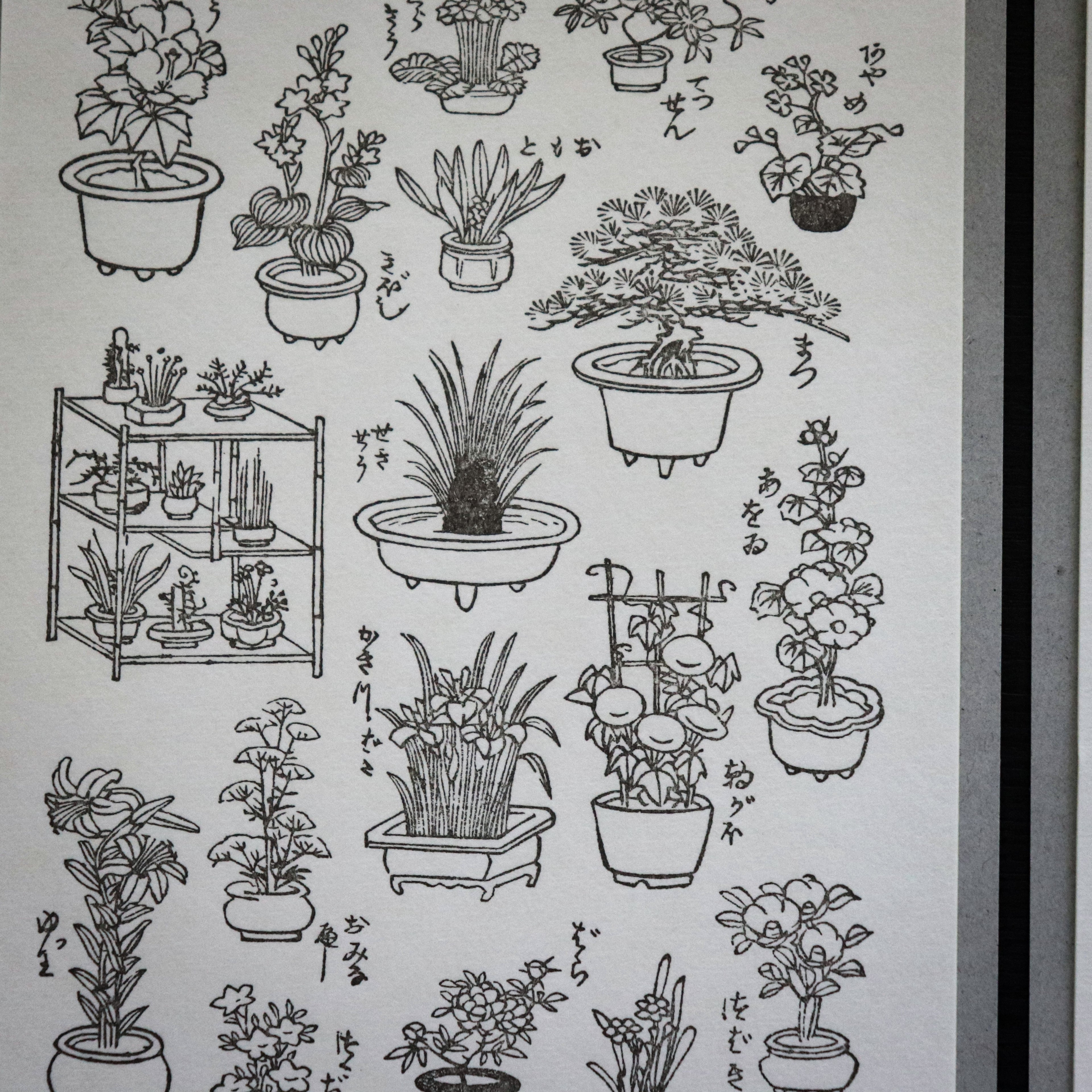 【OEDA LETTERPRESS】Edo Gardening Sticker Sheet