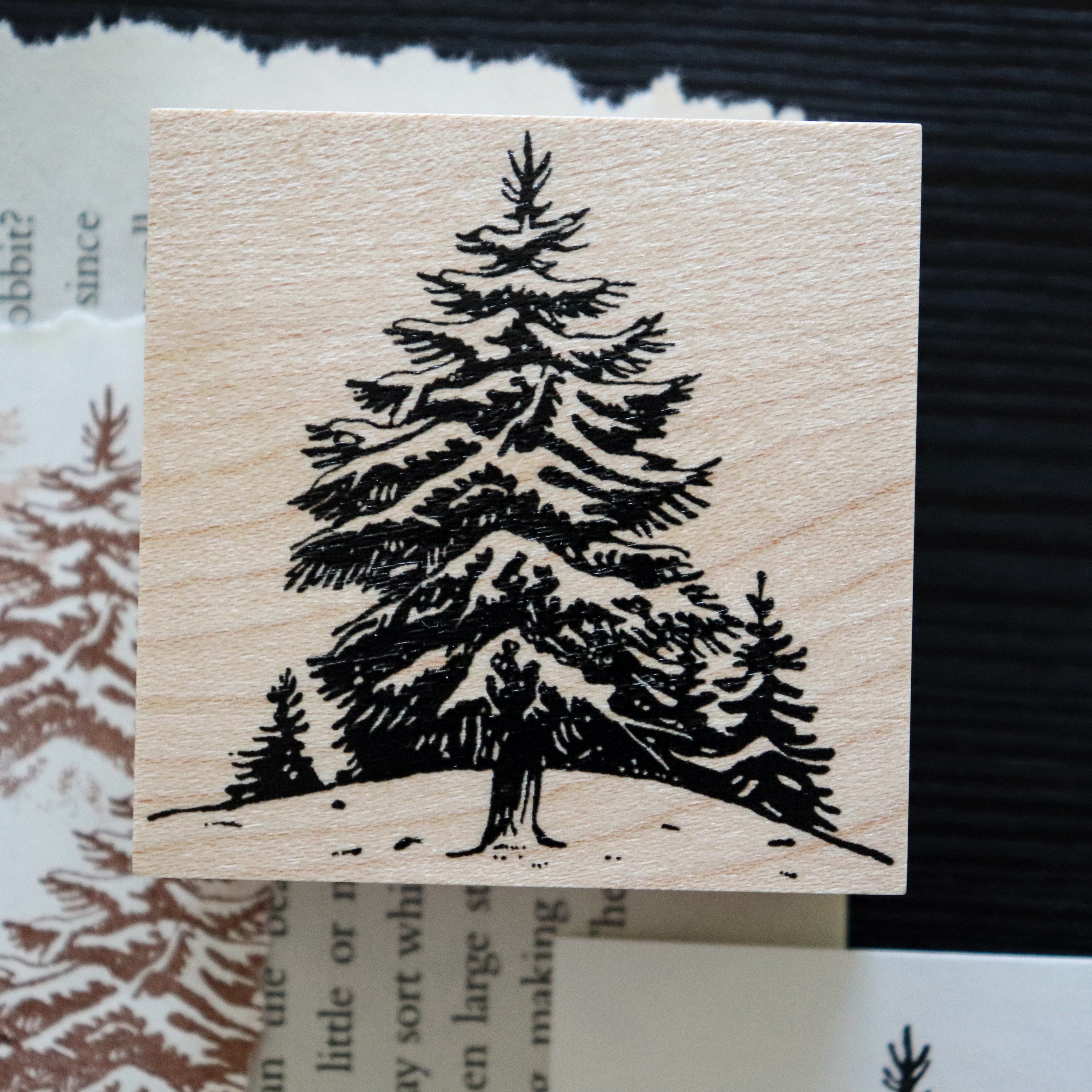 Keiko Endo- Wood Stamp Set- Traveling through the Snowy Forests of Kannur