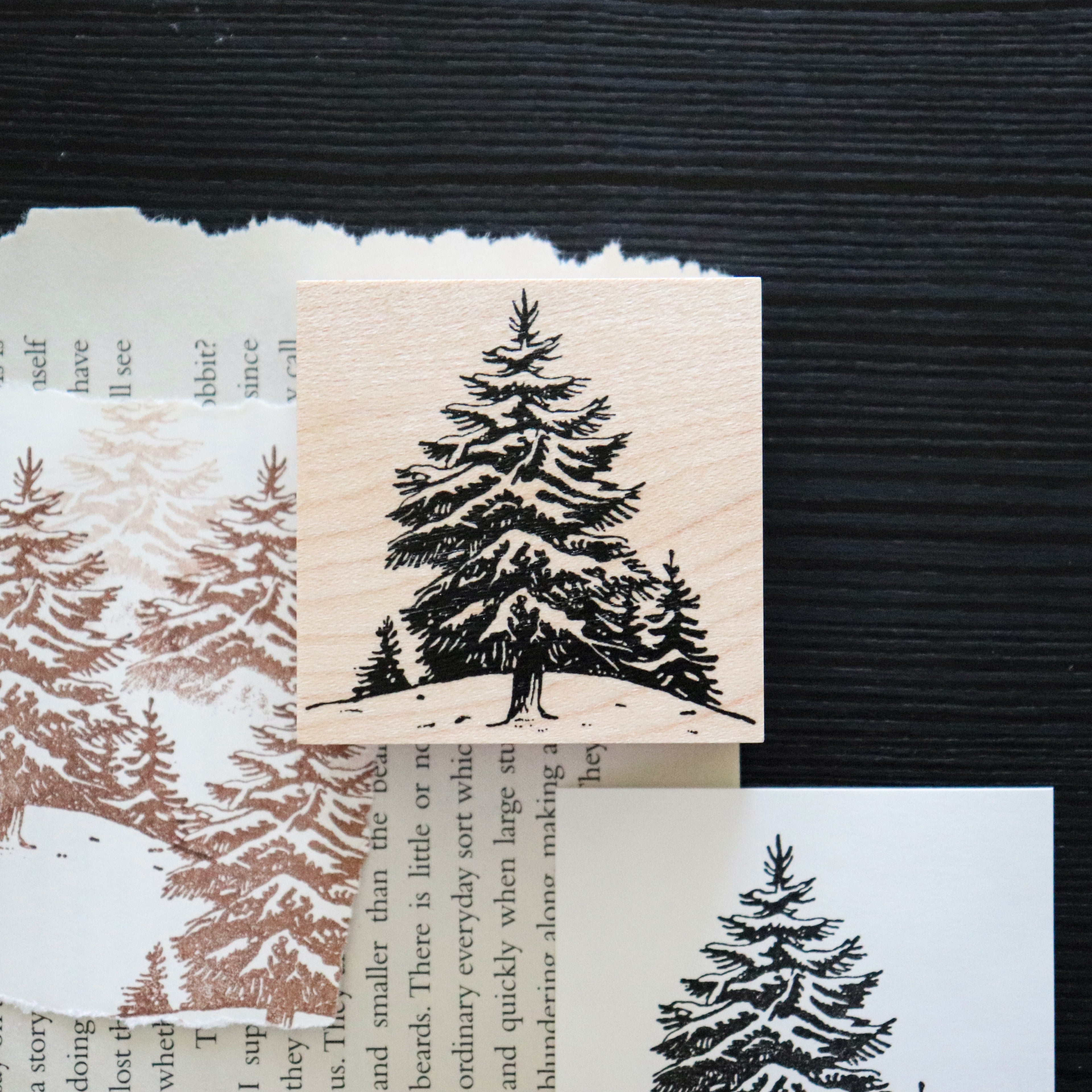 Keiko Endo- Wood Stamp Set- Traveling through the Snowy Forests of Kannur