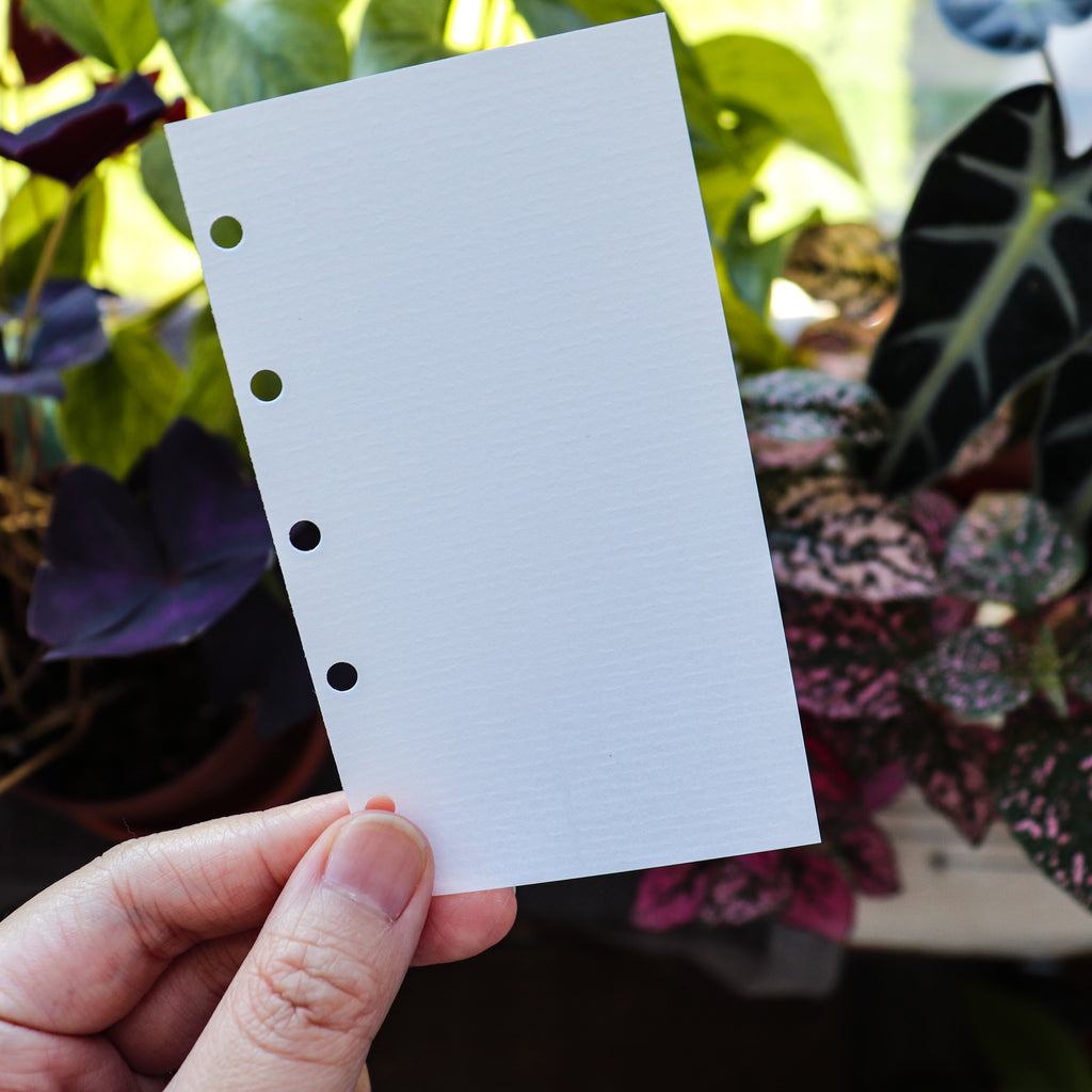 Yamamoto Paper- Air Mail Bond Nature M5 Refill Sheets