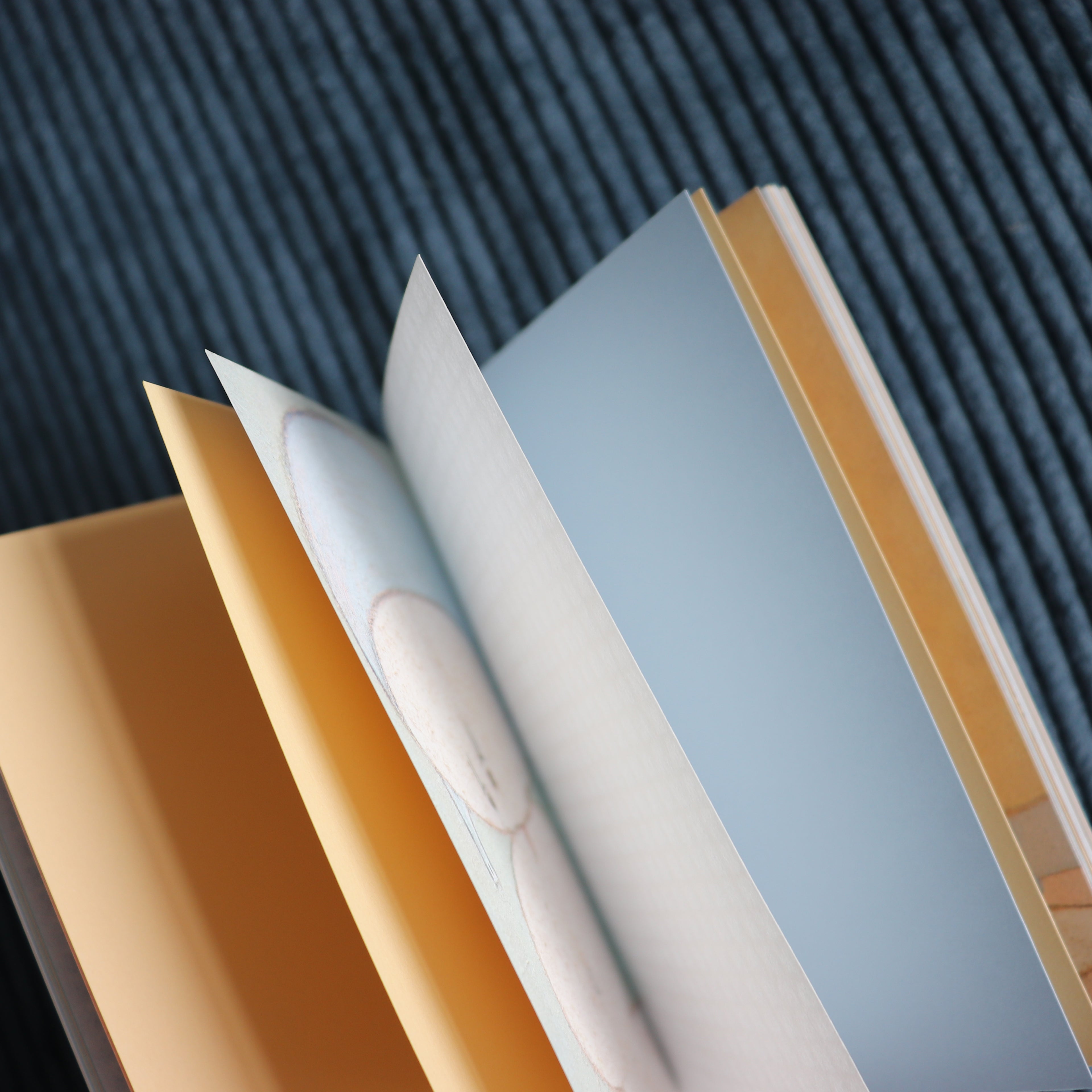 【Square Studio】Warm & Fuzzy Feeling Collection · TN Notebook Insert- Passport