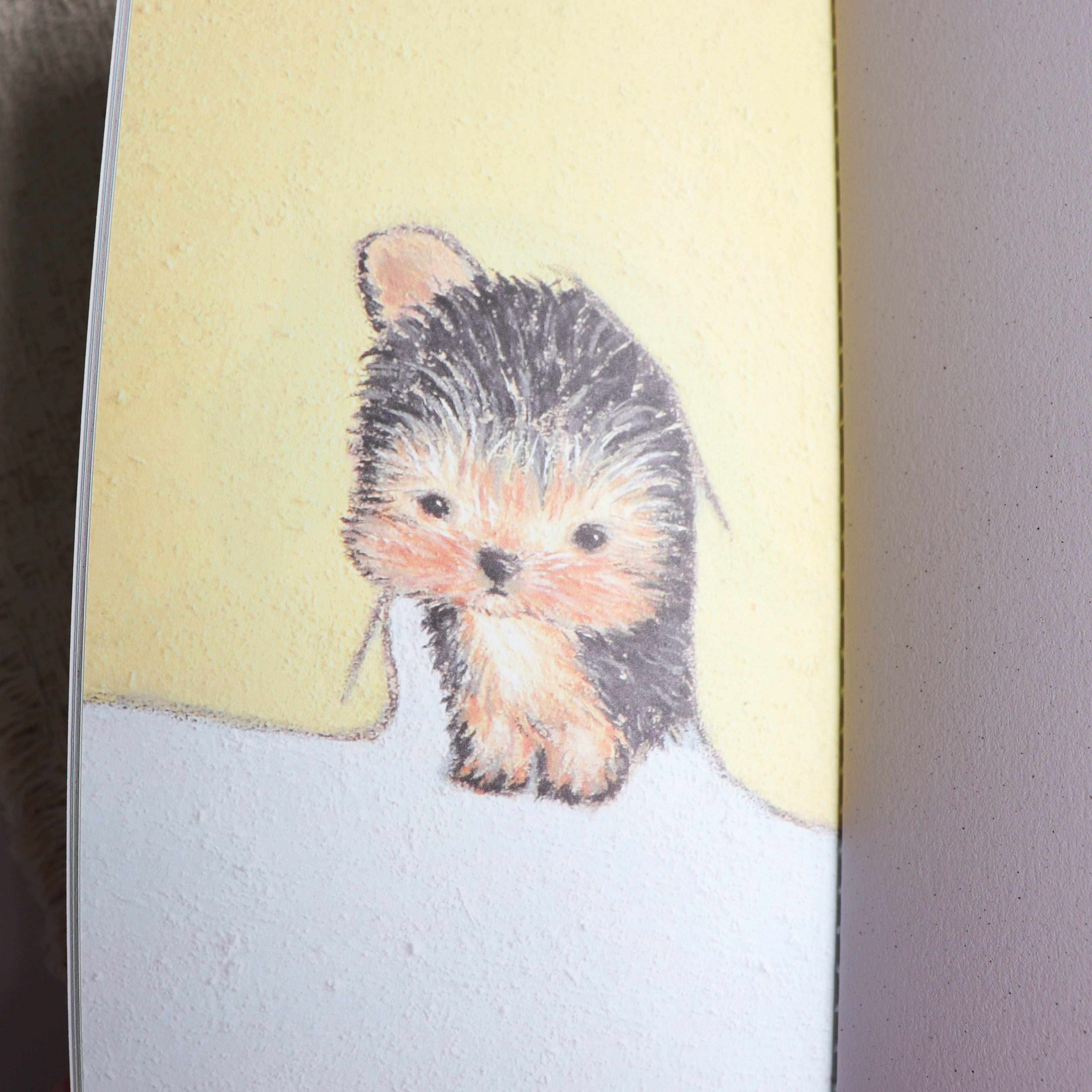 【Square Studio】Warm & Fuzzy Feeling Collection · TN Notebook Insert- Standard