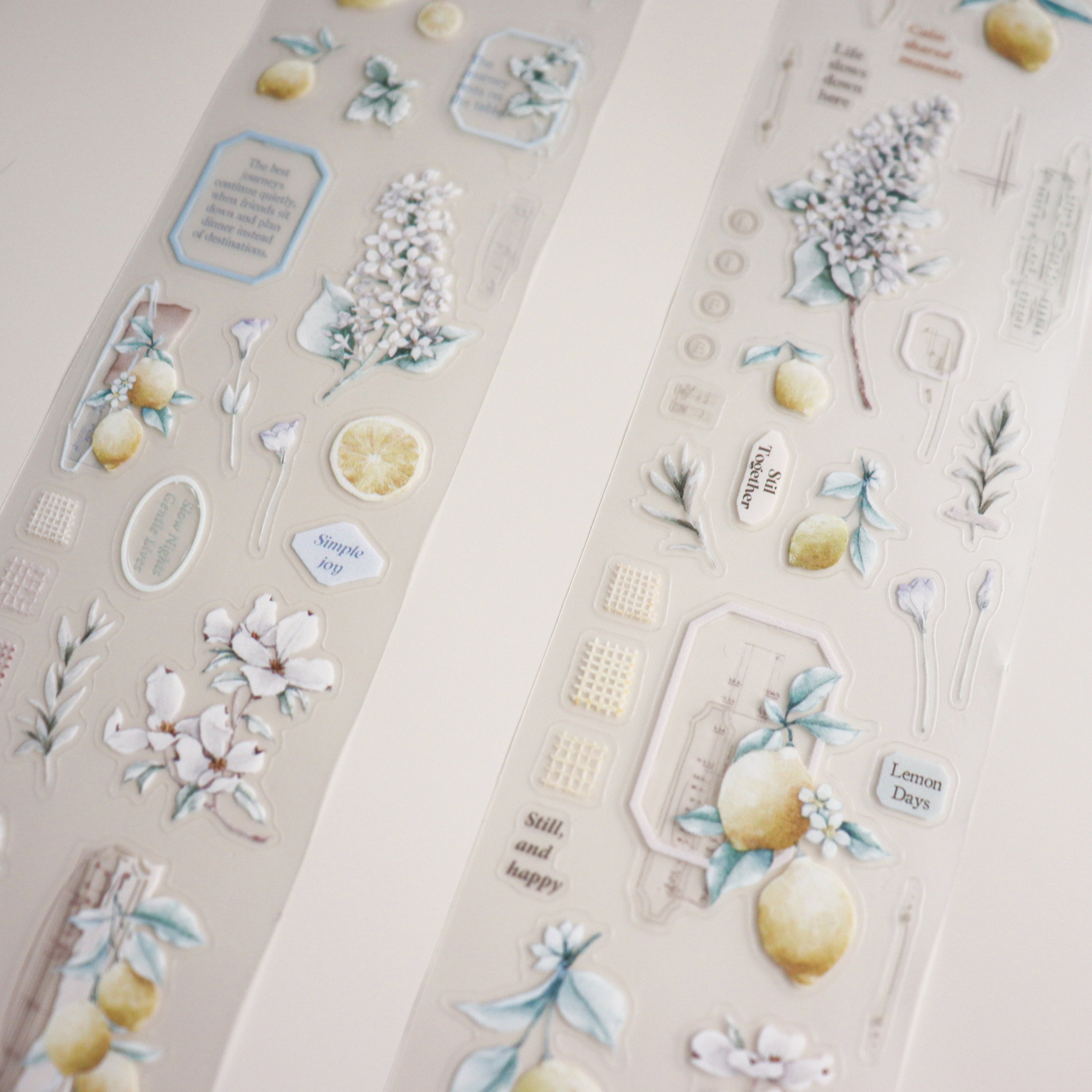 【LOI Design】Journey in Golden Light- 5cm x 6m Matte PET Tape