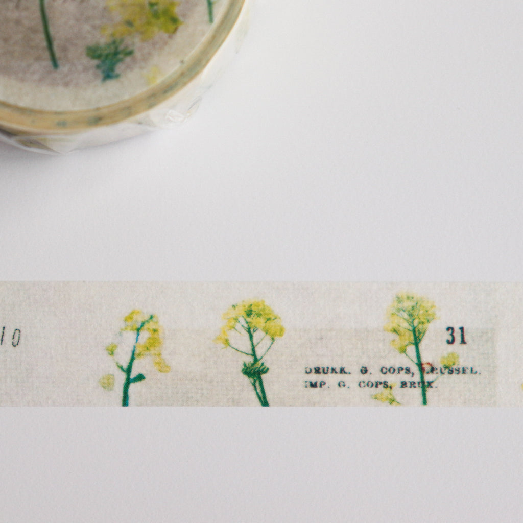 YOHAKU Washi Tape-Nanohana
