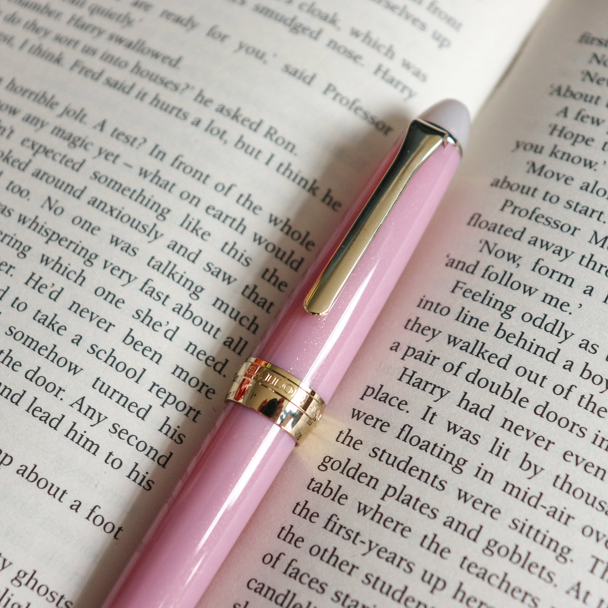 SAILOR Shikiori Fountain Pen- Night Cherry Blossoms-F