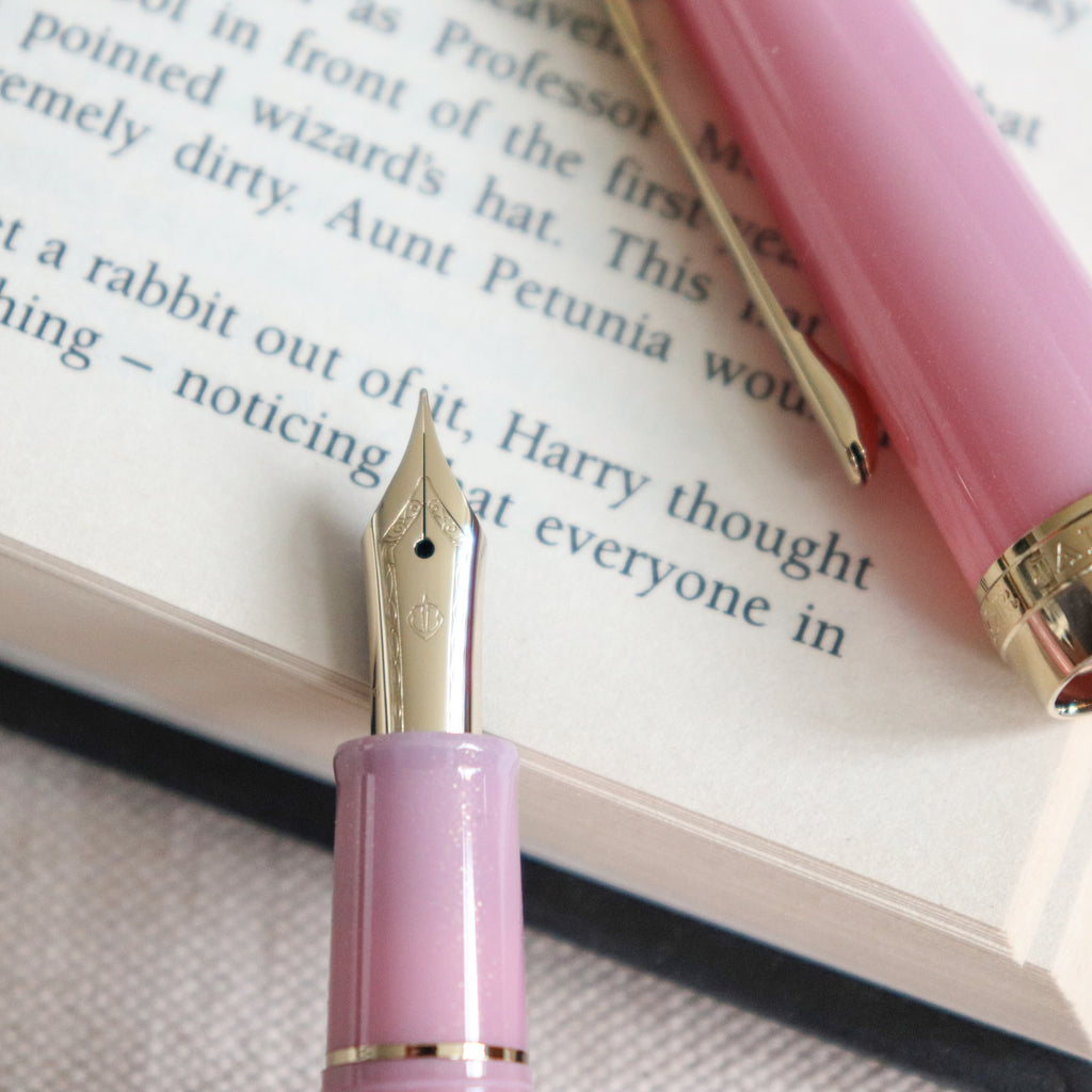 SAILOR Shikiori Fountain Pen- Night Cherry Blossoms-F