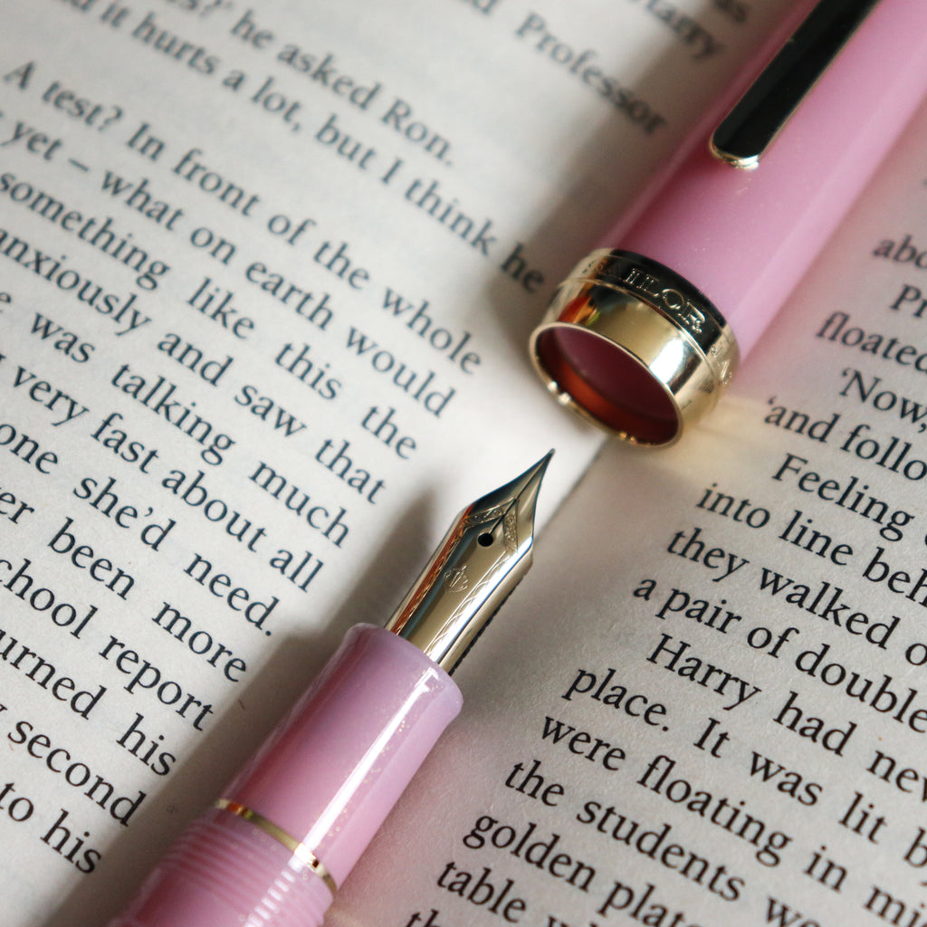 SAILOR Shikiori Fountain Pen- Night Cherry Blossoms-F