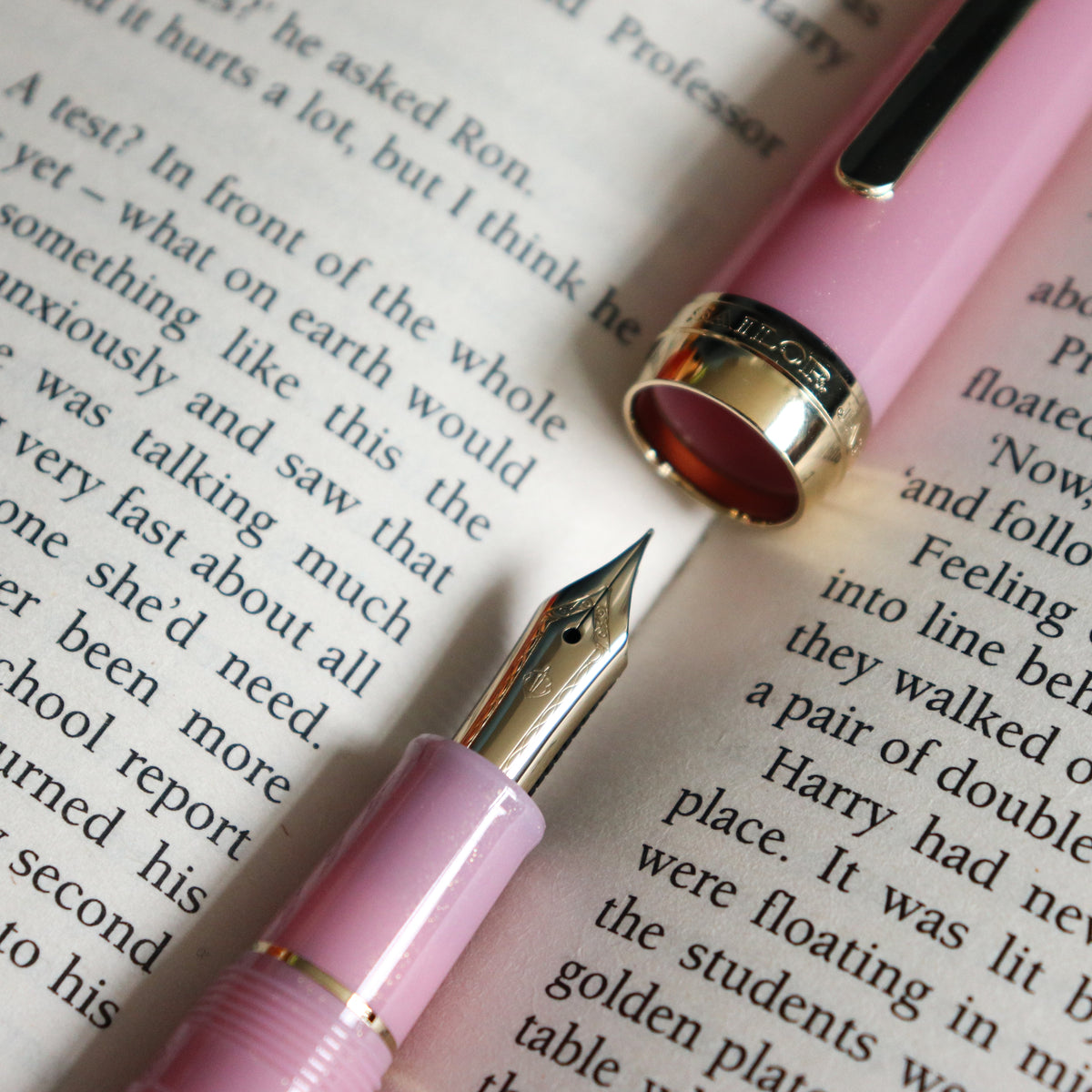 SAILOR Shikiori Fountain Pen- Night Cherry Blossoms-F