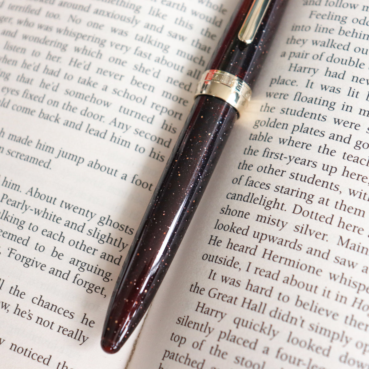 SAILOR Shikiori Fountain Pen Hisakata Thin Type- Rubber (Fine)