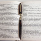 SAILOR Shikiori Fountain Pen Hisakata Thin Type- Rubber (Fine)