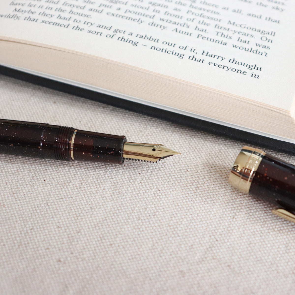 SAILOR Shikiori Fountain Pen Hisakata Thin Type- Rubber (Fine)